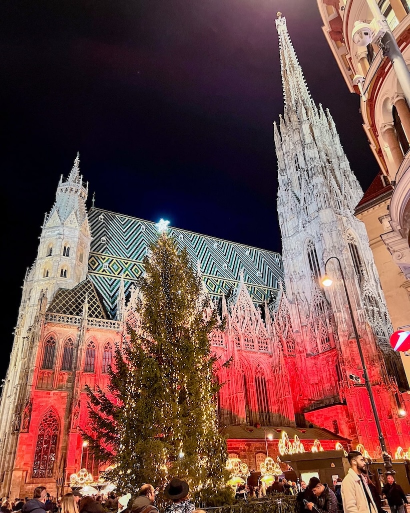 Vienna cattedrale